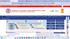 How To Fill In Epfo Advance Claim