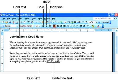 MS Word Home Tab in Hindi Bold Italic Underline text formatting example in Font Block