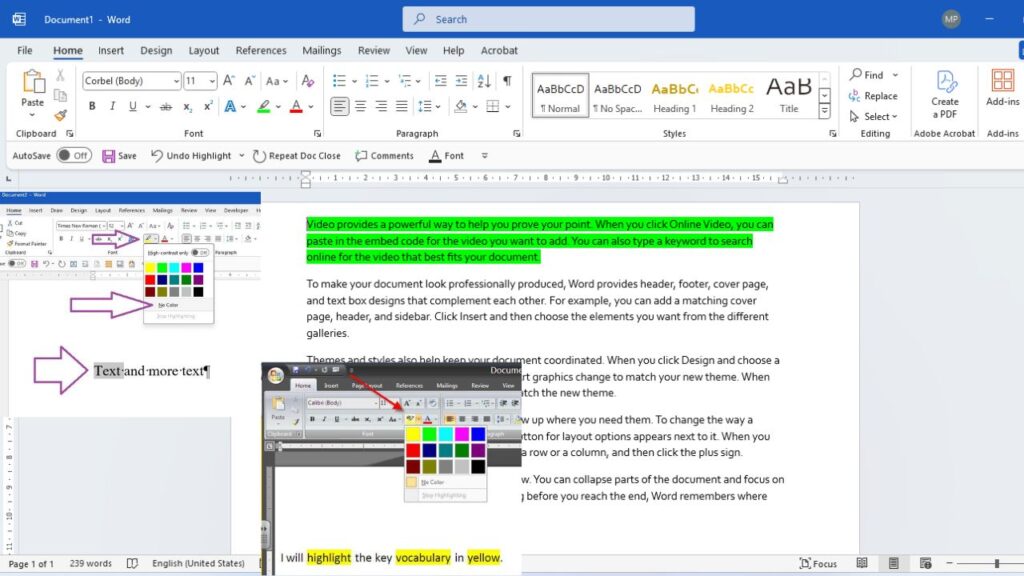 MS Word Home Tab in Hindi highlight text color example